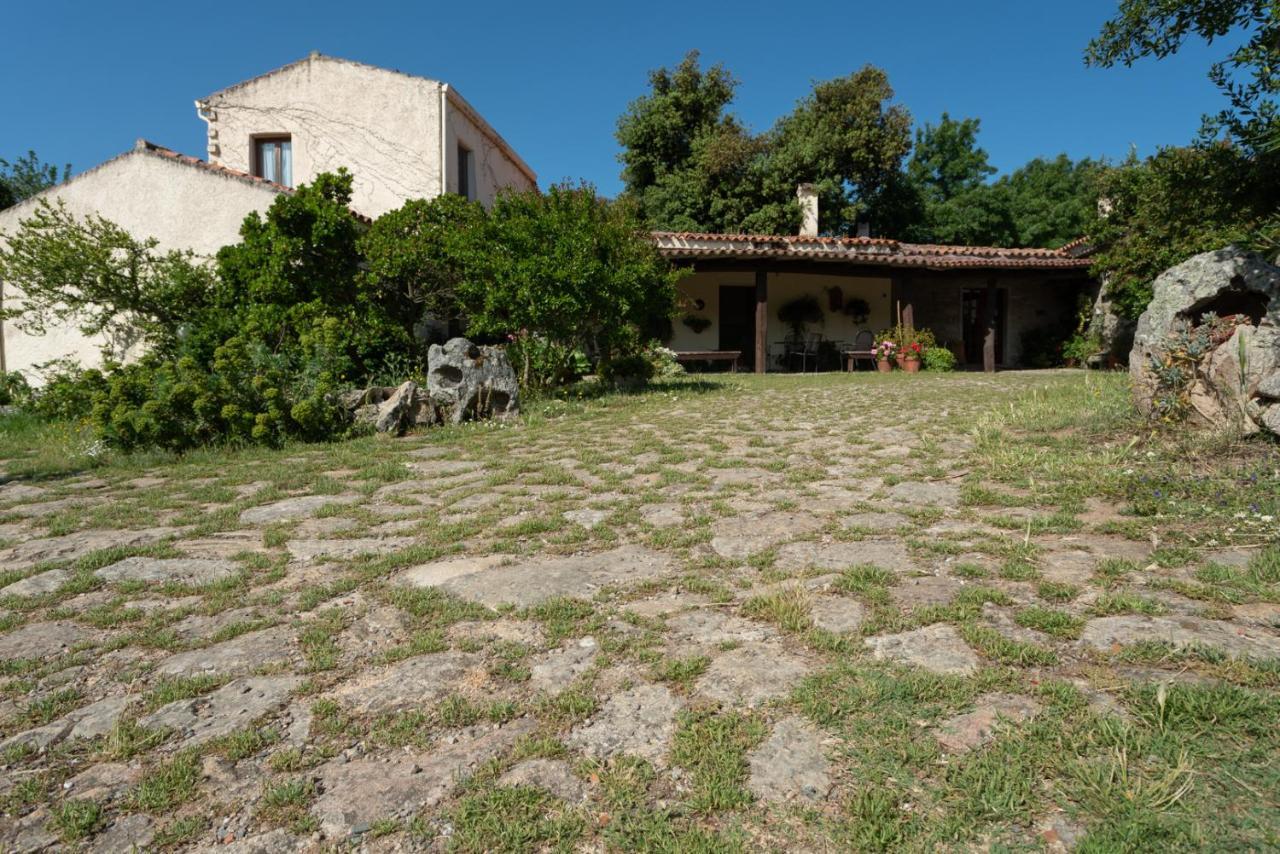 Agriturismo Testone Benetutti Exterior photo