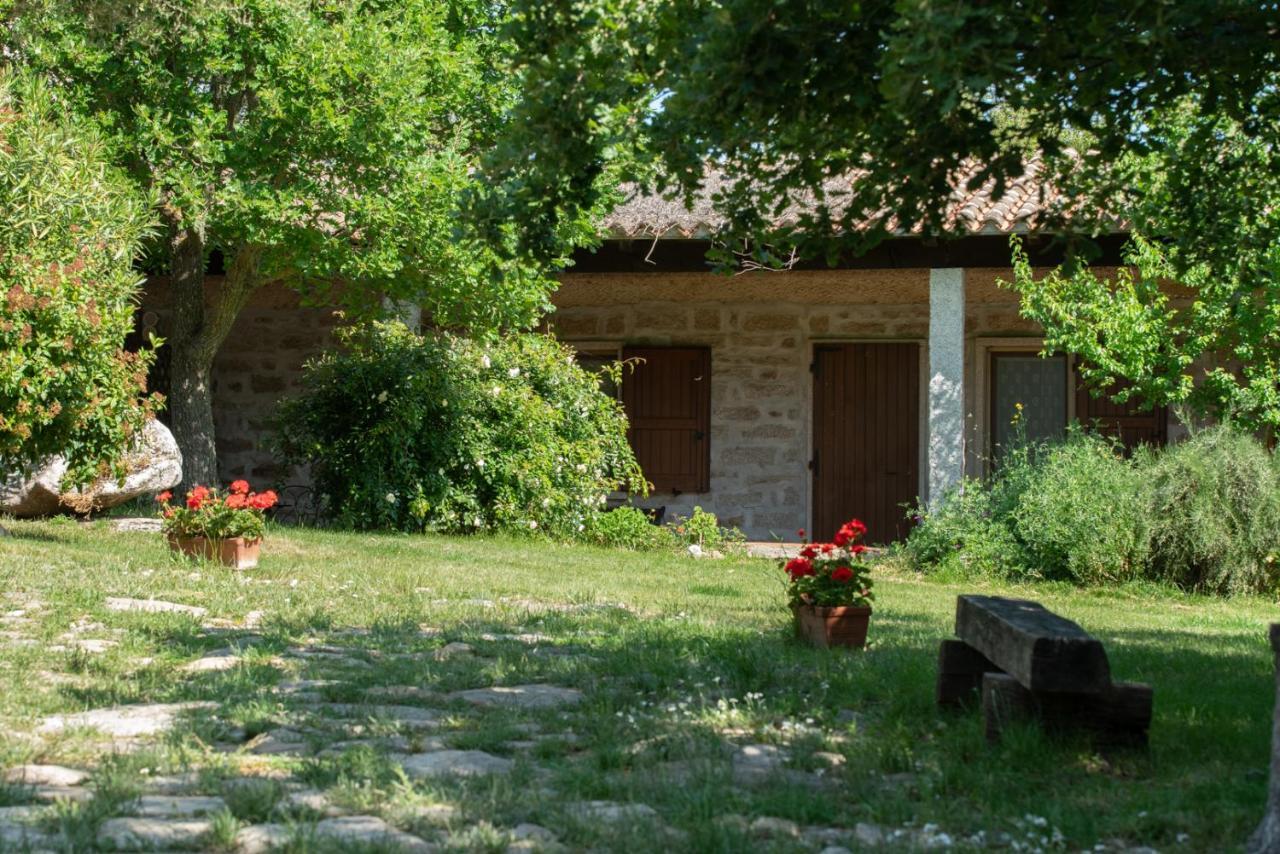 Agriturismo Testone Benetutti Exterior photo