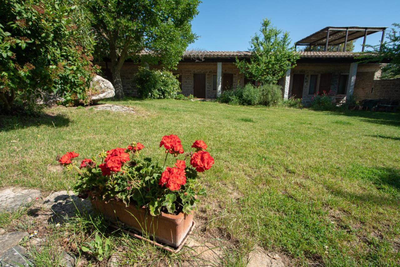Agriturismo Testone Benetutti Exterior photo
